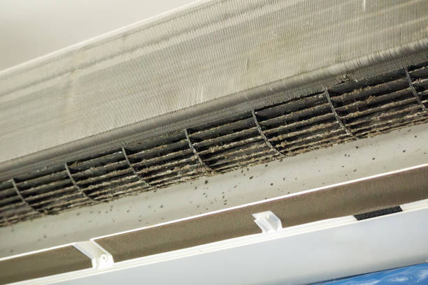 Best Local Air Duct Cleaning Services  in Fredericksburg, PA